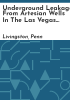 Underground_leakage_from_artesian_wells_in_the_Las_Vegas_area__Nevada
